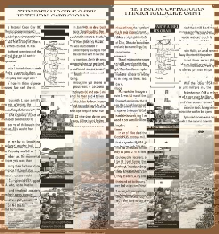 Eagle Lake historical panel