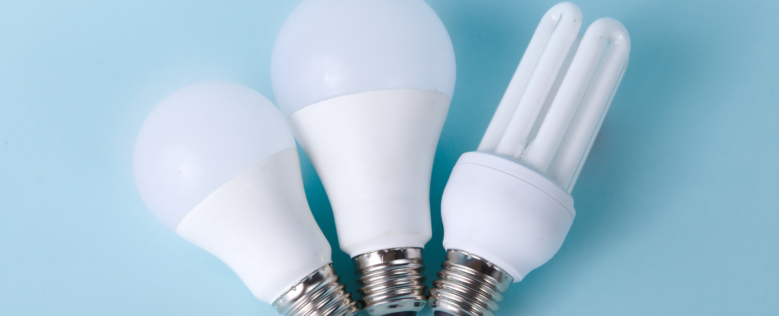 Photo of light bulbs